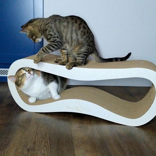 Drapak dla kota LEON | biały | 78x28x24 cm | MruuPruu na Arena.pl