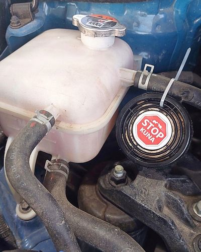 ODSTRASZACZ KUN SKUTECZNY NA ALLEGRO ŚRODEK NA KUNY DO SAMOCHODU na Arena.pl