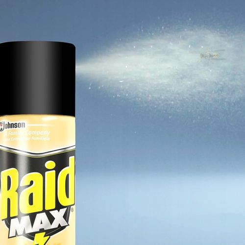 3X SPRAY NA OWADY BIEGAJĄCE RAID MAX AEROZOL PRZECIW KARALUCHOM na Arena.pl