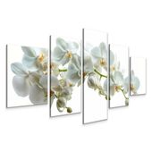 OBRAZ CANVAS DO SALONU BIAŁE KWIATY ORCHIDEA STORCZYK NATURA 3D 150x80
