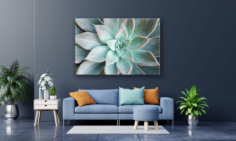 OBRAZ NA PŁÓTNIE 098 Sukulent 90x60cm zdjęcie 4