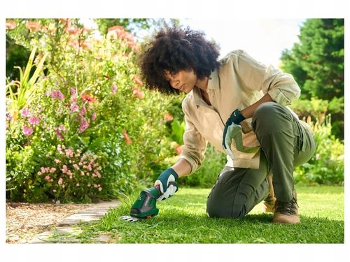 PARKSIDE Akumulatorowe Nożyce DO Trawy i krzewów 2w1 PGSA 4 B3 + na Arena.pl