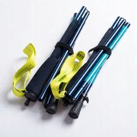 KIJE KIJKI TREKKINGOWE SKŁADANE DO CHODZENIA BIEGANIA ELBRUS FITZROY 125cm