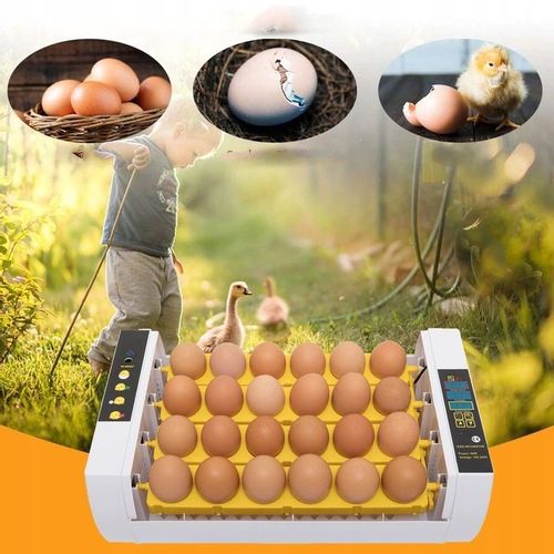 INKUBATOR KLUJNIK DO JAJ WYLĘGU DROBIU do 35 jajek na Arena.pl