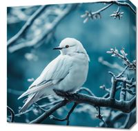 Obraz 50x50cm Perłowy Ptak