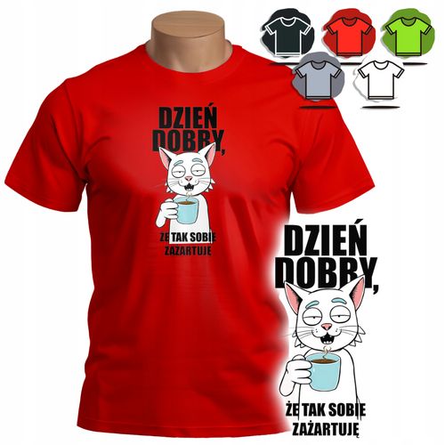 KOSZULKA T-SHIRT MĘSKI WZORY DO WYBORU - DZIEŃ DOBRY ŻE TAK ZAŻARTUJĘ - M na Arena.pl