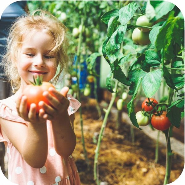 FruktoVit Plus Nawóz uniwersalny granulowany ogrodniczy 5kg ZDROWE ROŚLINY zdjęcie 14