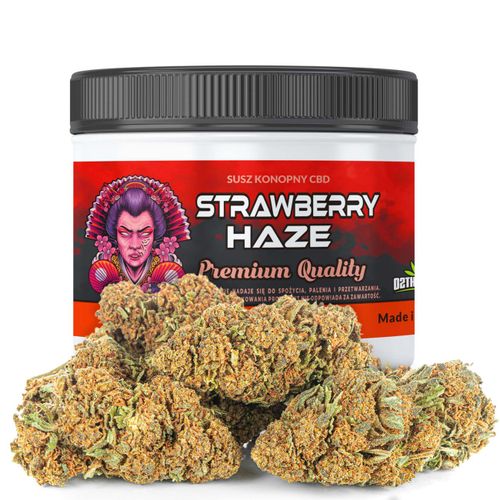 Susz konopny CBD | STRAWBERRY HAZE | 20 g na Arena.pl