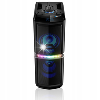 Głośnik przenośny System Audio BLAUPUNKT PS05.2DB Karaoke PS 05.2DB