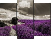 70 90CM OBRAZ 3 ELEM LAWENDOWY WIDOK ŚCIENNY DRUK PŁÓTNO