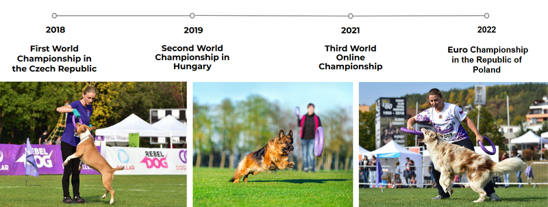 Puller Micro 12,5 cm Ringo zabawka trening Psa, szarpak 2 szt. zdjęcie 4