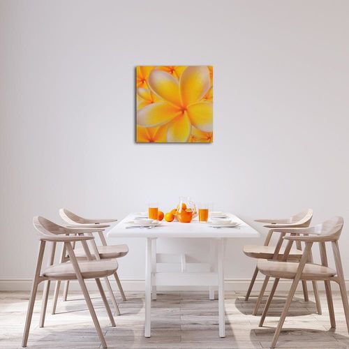 Deco Panel, Kwiat plumerii 30x30 na Arena.pl
