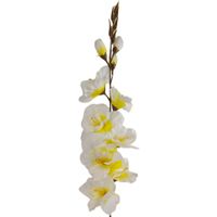 product-compare-61191012