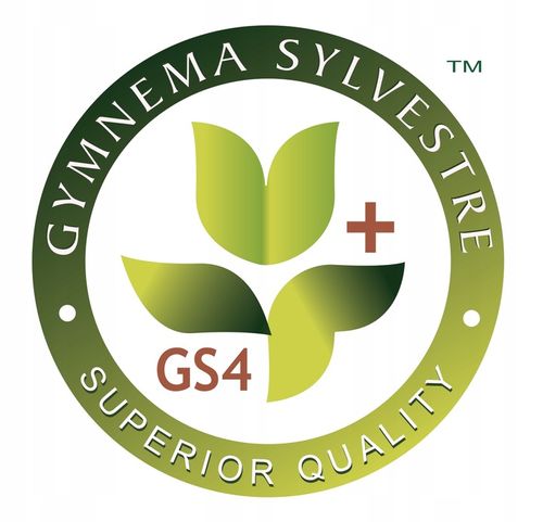 Regulacja cukru Kozieradka Gurmar Morwa Fasola 180 na Arena.pl