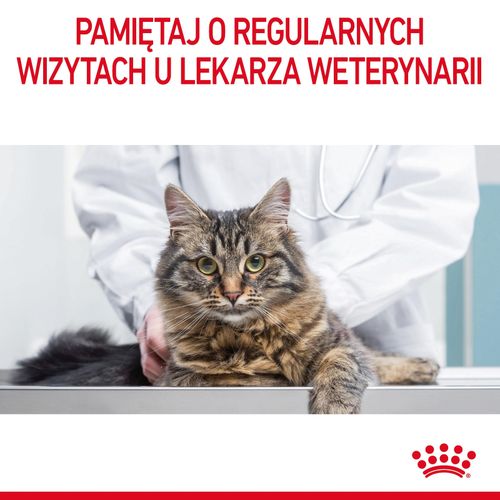 royal canin digestive care 4kg na Arena.pl