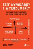 Szef Wymagający I Wyrozumiały