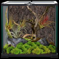 repti planet  terrarium szklane 30x30x45cm