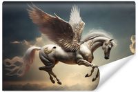 Fototapeta Ścienna Do Salonu Pegaz Chmury Abstrakcja Efekt 3D 450cm x 300cm