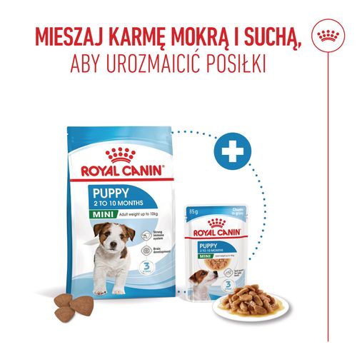 royal canin mini puppy 4kg na Arena.pl