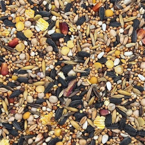 KARMA DLA PAPUG ŚREDNICH 5kg papugi NIMFA ROZELLA pokarm STANDARD Champi na Arena.pl