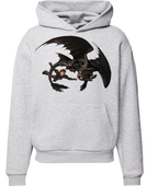 Bluza z kapturem Jak wytresować smoka - Dragon