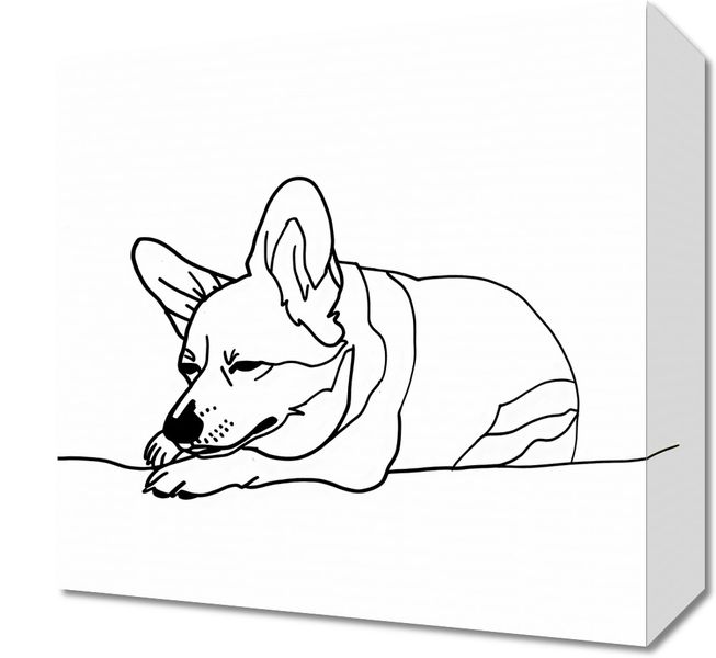 Obraz 30x30cm Śpiący Corgacz zdjęcie 1