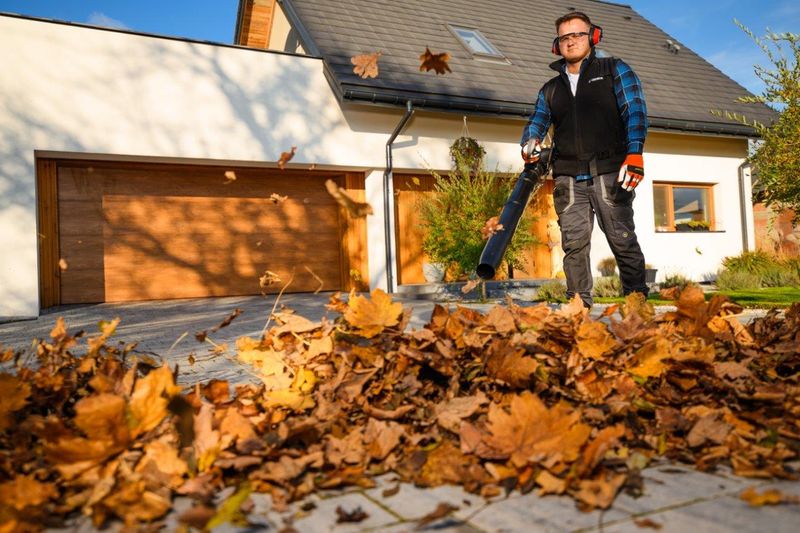 CEDRUS DM05 PRO PROFESJONALNY ODKURZACZ  DMUCHAWA SPALINOWA OGRODOWA DO LIŚCI - OFICJALNY DYSTRYBUTOR - AUTORYZOWANY DEALER CEDRUS zdjęcie 14