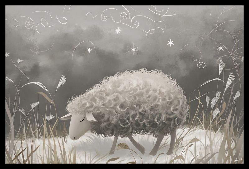 Plakat 45x30cm Bujna Owca zdjęcie 2