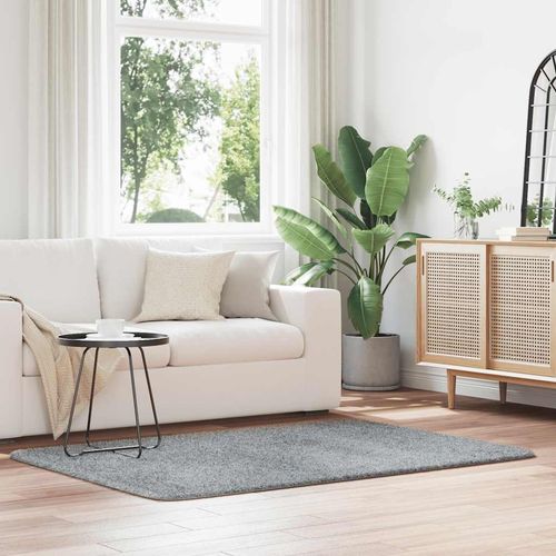 Dywan shaggy z długim włosiem, NAVARRA, jasnoszary, 120x170 cm na Arena.pl