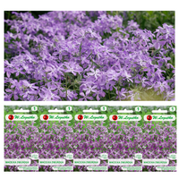 Nasiona Maciejka dwuroga różowolawendowa, 5x5g