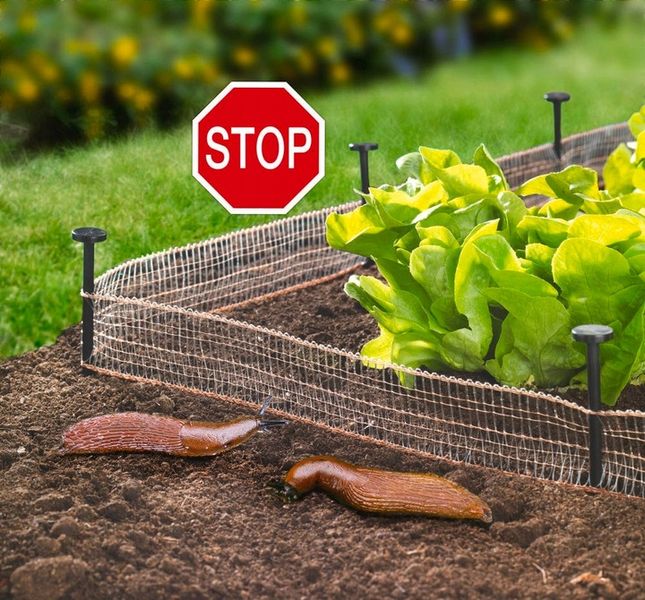 ODSTRASZACZ ślimaków PŁOTEK na ślimaki MIEDZIANY zdjęcie 2