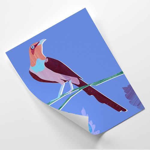 Plakat, Rajski ptak 1 40x60 na Arena.pl