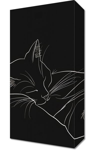 Obraz 20x40cm Nocny Spokój zdjęcie 1