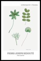 Plakat 40x60cm Design Tree Leaf Set, Redoute Vintage do Salonu