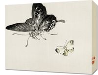 Obraz 50x40cm Butterflies, Kōno Bairei Japoński Vintage do Salonu