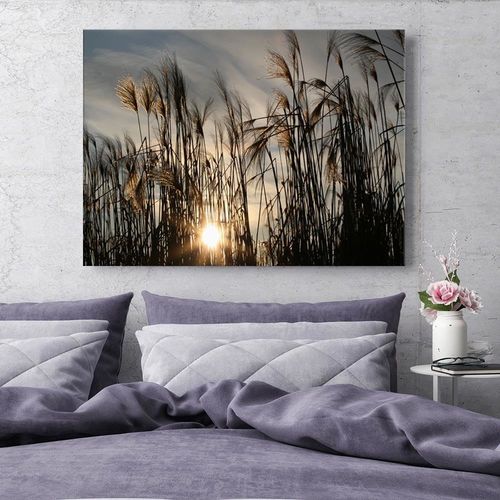 Obraz na płótnie - Canvas, Słońce wśród traw 60x40 na Arena.pl