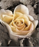 product-compare-58656730