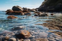 Plakat 45x30cm Harmonia Przybrzeżna