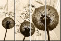 product-compare-58698929