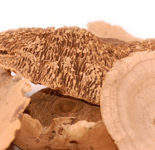 Spong mushroom 100g na Arena.pl