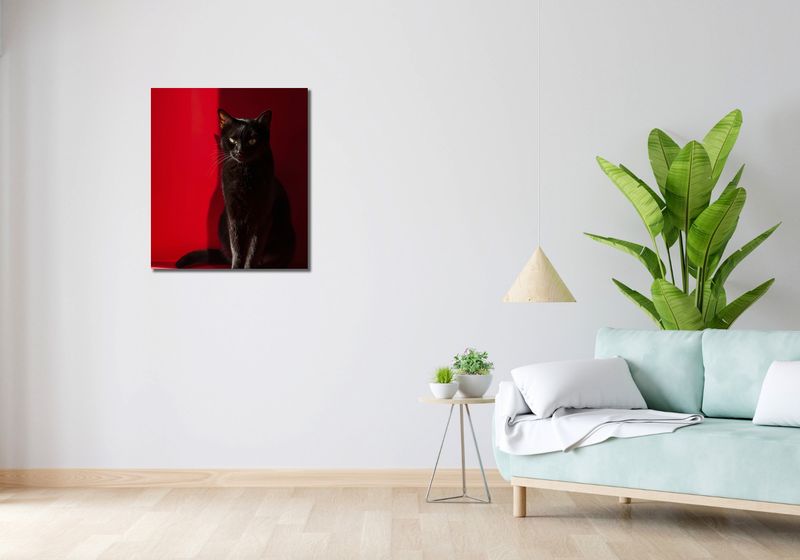 Obraz 60x70cm Elegancja w Cieniu zdjęcie 2