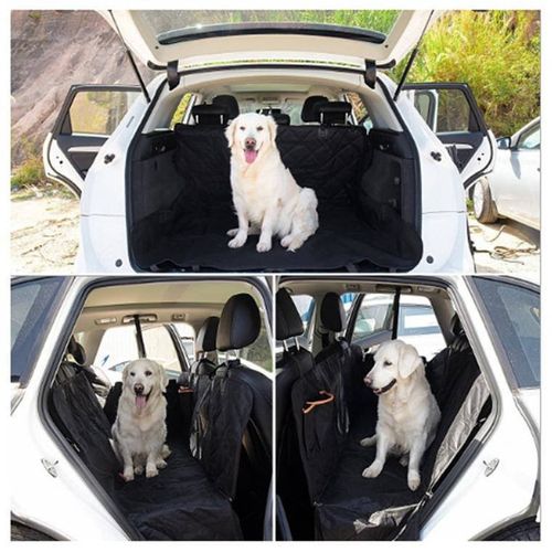 Pokrowiec do samochodu dla psa na Arena.pl