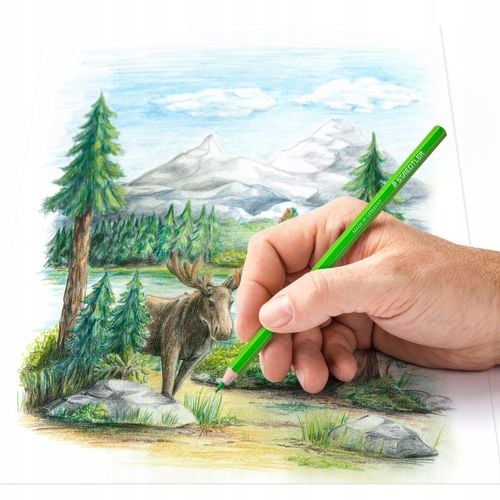 Zestaw do akwareli Staedtler 14610C na Arena.pl