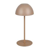 Nocna lampka ORTIZ R55601165 LED 2W 3000K IP44 przenośna grzyb kawowy