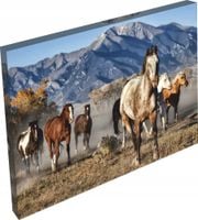 OBRAZ na płótnie zwierzęta konie góry widok 120x80
