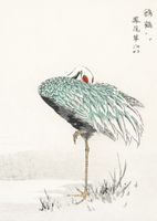 Plakat 67,5x95cm White-naped Crane, Kashu Vintage do Salonu