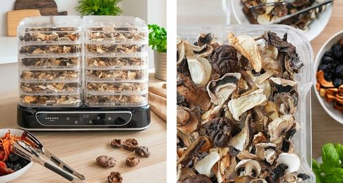 DUŻA SUSZARKA DO GRZYBÓW OWOCÓW WARZYW ZIÓŁ 6 SIT MOCNA 550W ZESTAW na Arena.pl