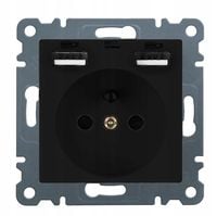 Gniazdko do ramek 230V z BOLCEM 2x USB - PREMIUM