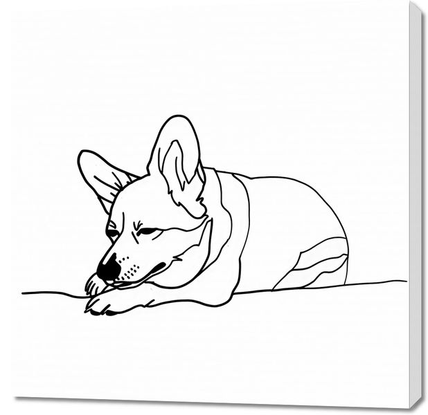 Obraz 90x90cm Śpiący Corgacz zdjęcie 1