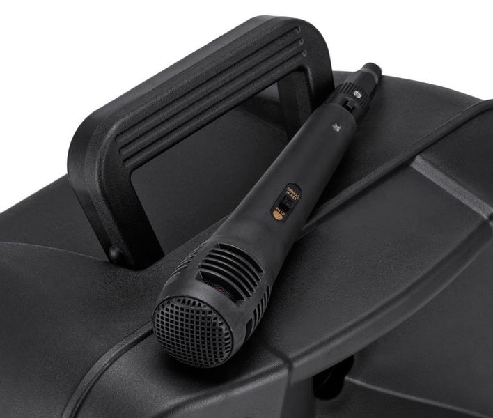 KOLUMNA AKTYWNA GŁOŚNIK BLUETOOTH MIKROFON zdjęcie 4